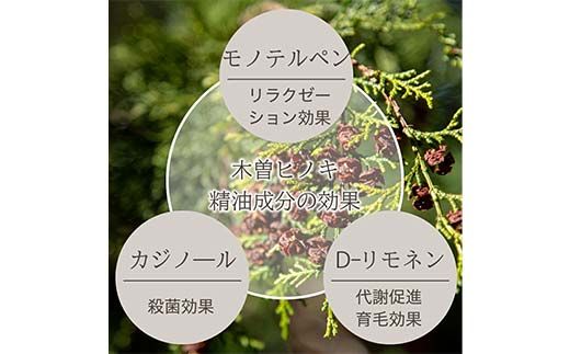 meet tree ヒノキおが粉まくら 枕 まくら ピロー 寝具 ヒノキ ふるさと納税 ギフト 自然 ひのき 桧 おが粉 香 プレゼント 木のかおり F4N-2729