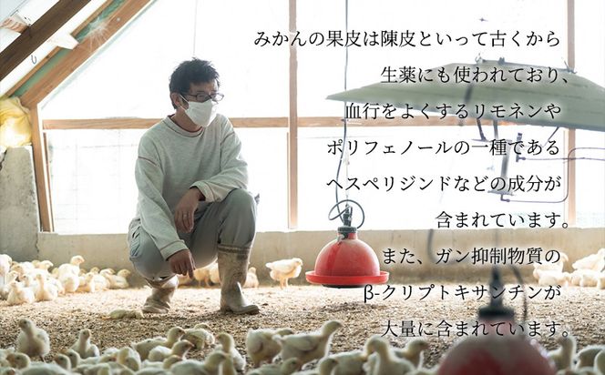 DO6003n_紀の国みかんどり 鶏 水炊き【鶏鍋 鶏すき 鍋セット】