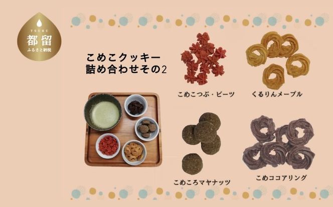 yRsszDN006 ߂NbL[߂킹@2