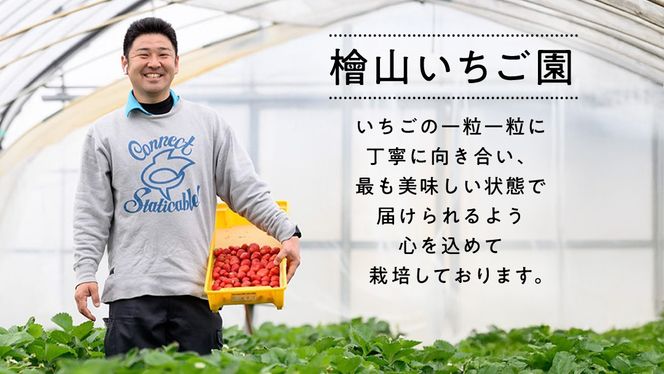 【 先行予約 】 訳あり いちご いばらキッス 800g 《 2026年2月以降発送 》 苺 果物 くだもの フルーツ 不揃い ジャム （茨城県共通返礼品／常陸太田市） [ES015us]
