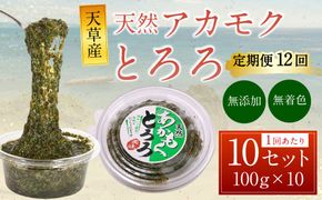 【12回定期便】天草産 天然 アカモク とろろ （100g ×10セット） 合計12kg 海藻 あかもく スーパーフード 無添加 無着色 冷凍 九州産 熊本県 上天草市