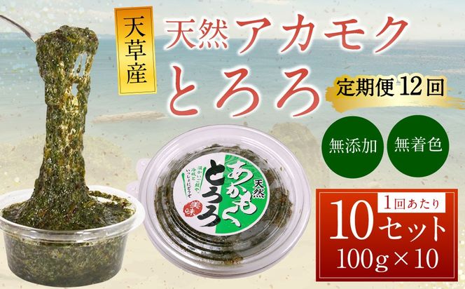 yF{Vszy12ցzVY VR AJN Ƃ i100g ×10Zbgj v12kg C  X[p[t[h Y F Ⓚ BY F{ Vs