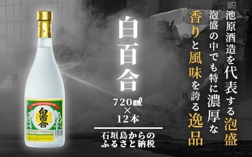 IK-10 池原酒造 白百合 720ml 30度 12本セット