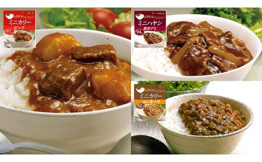 【 定期便 全3回 隔月 お届け 】新宿 中村屋 レトルト 食べ比べ セット ( Bセット 17種 ) 人気 詰合せ 洋食 時短 カレー インドカレー ビーフカレー 欧風カレー 数量限定 贈答品 保存用 ストック用 非常用 老舗 電子レンジ 調理可 [DM006us] レンチン レンジ 