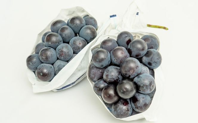 フルーツ 定期便 2026年 先行予約 フルーツ王国 岡山の果物 5回コース 夏～冬物語 桃 もも 葡萄 ぶどう 梨 なし岡山県産 国産 果物 セット ギフト 