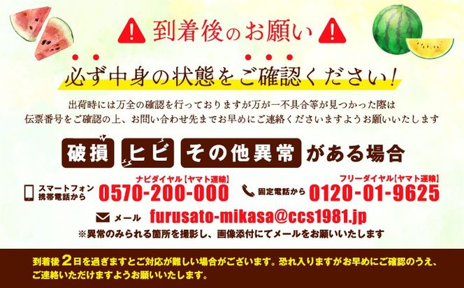 《2026年分受付中》秋に収穫される赤色スイカor黄色スイカ2～4玉(約9kg)【01149】