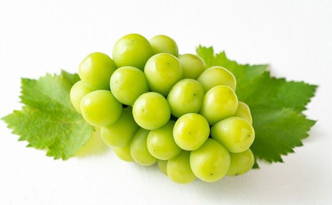 ぶどう 2026年 先行予約 シャインマスカット 晴王 2房 合計1.0kg前後 マスカット ブドウ 葡萄 岡山県産 国産 フルーツ 果物 ギフト[№5735-1893]