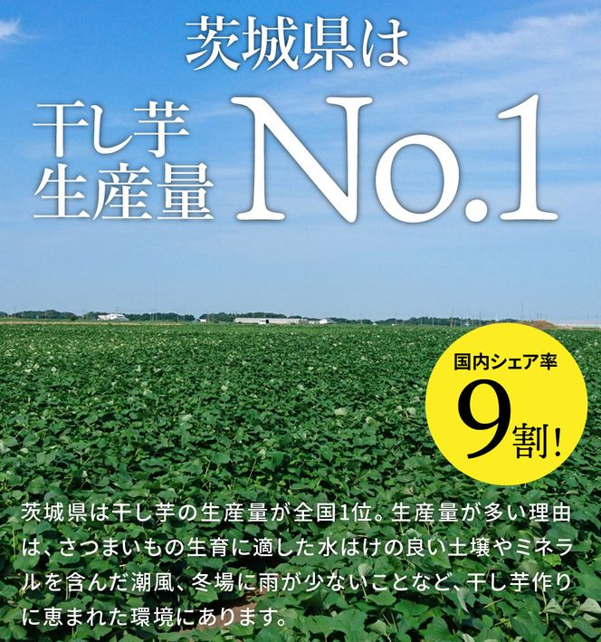 【定期便 11ヶ月】平干し 食べ比べセット（100g×4袋） | 干し芋 ほしいも さつまいも