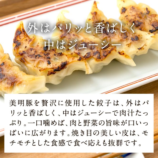 【2026年5月中旬より順次発送】美明豚「びめいとん」のジューシー餃子 2パック(30個入り×2袋)｜餃子 ぎょうざ ギョウザ 美明豚 びめいとん 肉 肉加工品 豚肉 お肉 ジューシー 茨城県 行方市(HJ-2)