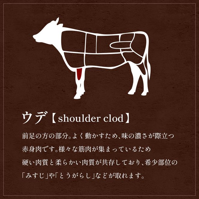 肉【和牛セレブ】能登牛　牛肩(うで) すき焼き・しゃぶしゃぶ 500g 黒毛和牛 霜降り ギフト 石川県 能美市 172111_DB023