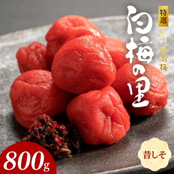 SF2002_特選紀州南高梅「白梅の里」昔しそ　800ｇ