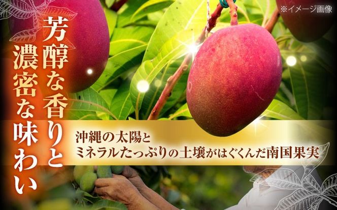 【先行予約 2026年発送 予約受付】 訳あり 完熟マンゴー 約3kg (約1.5kg (3～6玉) ×2箱) マンゴー 沖縄 果物 フルーツ ギフト 沖縄市 / ちゃんぷる～市場 [BCAA003]