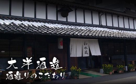 大洋盛 セット SW（720ml 飲み比べ 2本セット） 大洋酒造 サケ×サケ大洋盛 和醸 日本酒 お酒 酒 新潟県 1009011