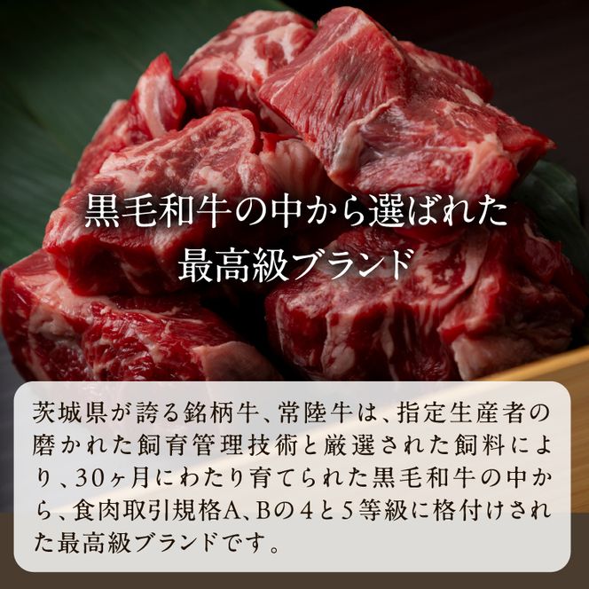 【数量限定】 牛丼の具 10袋【2026年3月中旬より順次発送】｜牛丼 お肉 常陸牛 ブランド 贅沢 簡単 茨城県 行方市(CU-322)