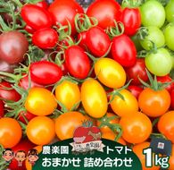 農楽園トマト おまかせ １ｋｇ詰め合わせ
