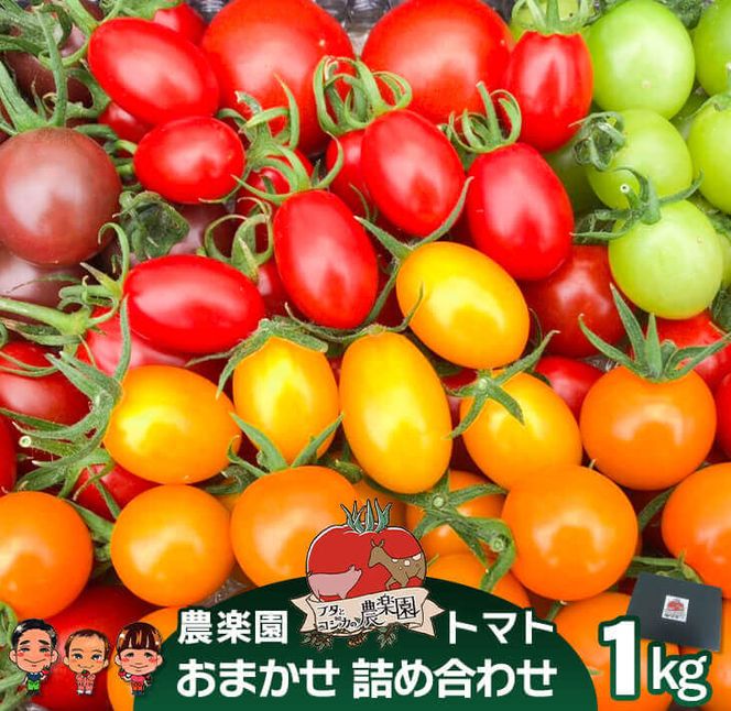 農楽園トマト おまかせ １ｋｇ詰め合わせ