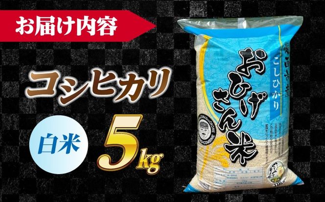 コシヒカリ 白米 5kg / 脇野コンバイン[AECP021-11]