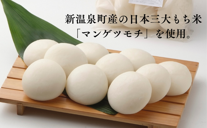 遊月のもち（５０g×１０個）×２袋　1000ｇ