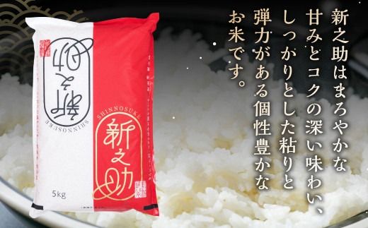 【令和7年産米】【3ヶ月定期便】村上市産 新之助 36kg （12kg×3ヶ月）コース 1027040