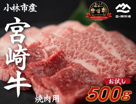 [内閣総理大臣賞 4大会連続受賞]宮崎牛 おためし焼肉 500g×1P(宮崎牛 黒毛和牛 お肉 モモ ウデ すき焼き 焼肉 赤身)