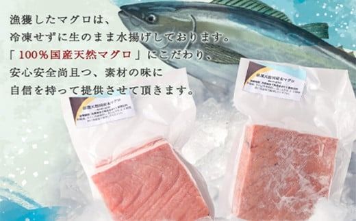 【数量限定】 厳選 天然 本マグロ 赤身 500g 以上 国産 マグロ 鮮魚 刺身 刺し身 漬け丼 海鮮丼 おかず 魚介類 海鮮 海産物 まぐろ 本まぐろ 鮪 ブロック 500グラム 惣菜 冷凍 スピード発送 美阿丸 高知県 室戸市