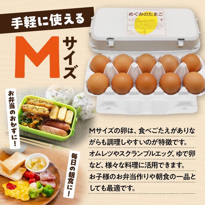 JAむなかたよりお届け！宗像たまご60個（55個＋補償5個）【JAほたるの里】_HA0916