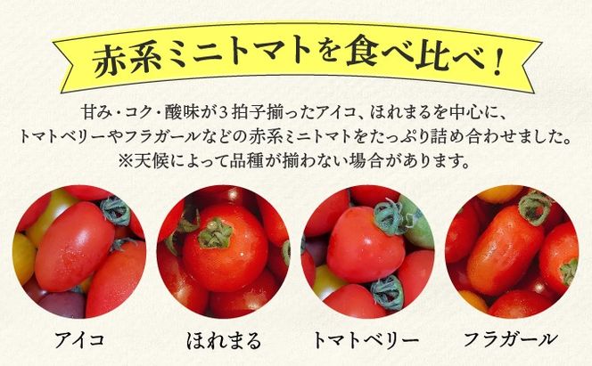 ＜先行予約＞赤系ミニトマトMix(たっぷり2kg)｜北海道 伊達市 野菜 新鮮 ふるさと納税 送料無料【ffk-004】