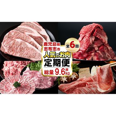 【定期便・全6回】お肉のお楽しみ定期便 総量9.6kg超! t0117-001