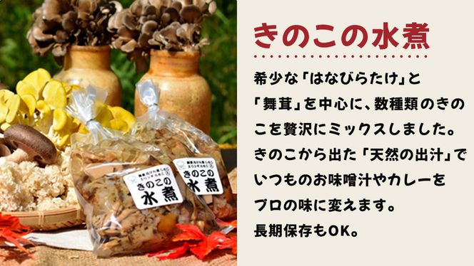 きのこ の 加工品 詰め合わせ 5点セット （茨城県共通返礼品：城里町） きのこミックス 野菜 水煮 国産 きのこ ご飯の素 国産 うどん そばの具 乾燥 しいたけ 乾燥 きくらげ バラエティ セット 乾燥きのこ  [DY004us]