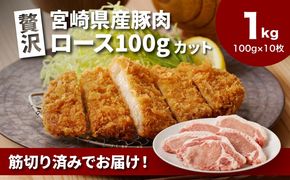 贅沢宮崎県産豚肉ロース100gカット10枚 K16_0149