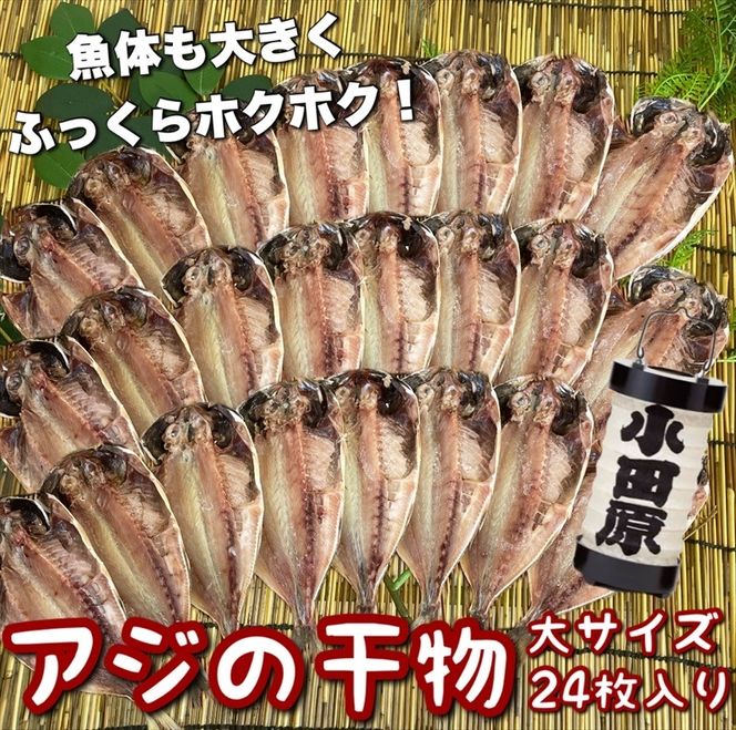 104-3094 鯵の干物 大サイズ 24枚セット