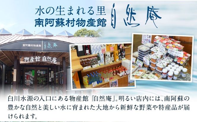 【3ヶ月定期便】日本名水百選ミネラルウォーター「南阿蘇・白川水源」500ml×24本入1ケース 定期便 3ヶ月《申込み翌月から発送》熊本県 南阿蘇村 物産館自然庵 水 ミネラルウォーター---sms_szmwtei_24_37500_24p_mo3---