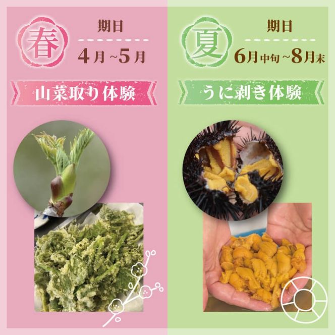 季節の三陸体験 体験チケット (1名様分/1体験) 三陸アクティブ 三陸 大船渡 体験 体験チケット チケット 夏休み 冬休み 春休み [active003]