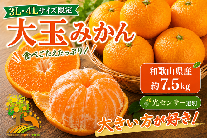 有田みかん 約7.5kg 大玉3L以上 有機質肥料100% ＼光センサー選別／ 農家直送 