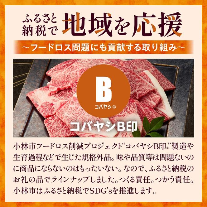 A4等級以上 宮崎牛 訳あり 焼肉 バラエティパック 1.5kg（牛肉 肉 お肉 黒毛和牛 宮崎牛 ブランド牛 内閣総理大臣賞4大会連続受賞）