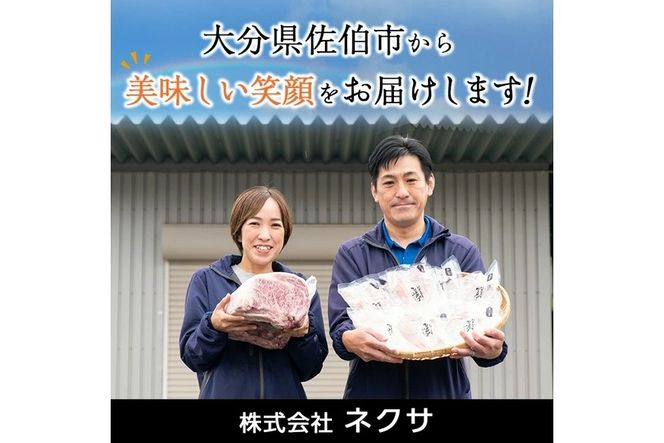 ＜定期便・全4回＞下ごしらえ済みおかず バラエティーセット 4種 (3ヶ月ごとにお届け) 肉 魚 ハンバーグ からあげ 唐揚げ とんかつ あじフライ 冷凍 惣菜 お弁当 簡単 時短 定期便【DH278】【(株)ネクサ】