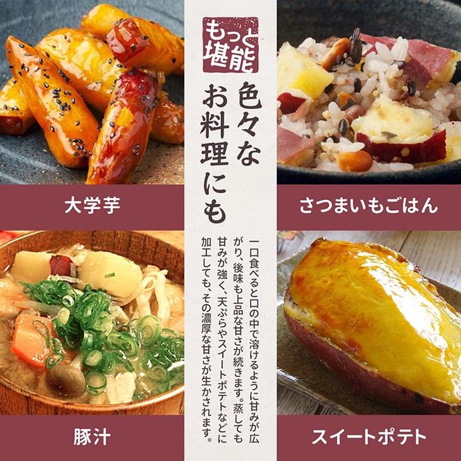 さつまいも 熟成 シルクスイート 5kg ｜ サツマイモ さつま芋 薩摩芋 オーガニック 有機栽培 有機JAS認証 焼き芋 やきいも 焼いも 芋 いも お芋 スイートポテト 甘露 季節限定 期間限定 野菜 スイーツ おやつ デザート ※2025年10月下旬以降収穫でき次第順次発送