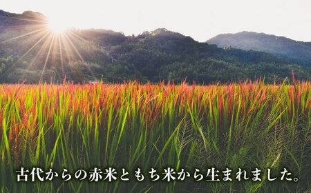 糸島産赤米（5分づき） 糸島市 / Carna [ALA053] 国産 お試し 送料無料 古代米 玄米 もち米 雑穀 赤米
