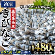 ＜定期便・全3回(冷凍便)＞鹿児島県産！阿久根のきびなごお刺身セット(計480尾・40尾×4P×3回) 冷凍 魚介類 海鮮 魚 きびなご キビナゴ 刺身 さしみ 刺し身 青魚 子魚 小分け【椎木水産】akn054-14