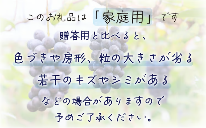 【2026年先行予約】 岡山 花笑み農園の『BKシードレス』家庭用2kg（3～6房） 2026年9月中旬～ 受付順に発送予定 【hana029-02】