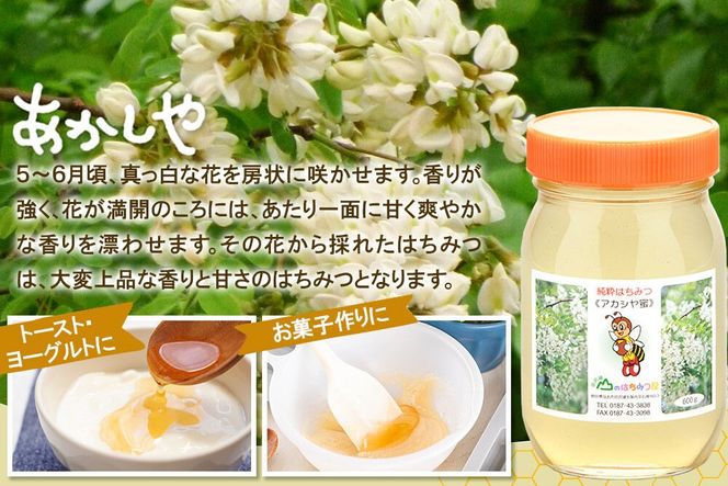 国産 はちみつ アカシヤ 600g 2本セット 山のはちみつ屋 [はちみつ ハチミツ 蜂蜜 アカシア]|02_bsk-020201
