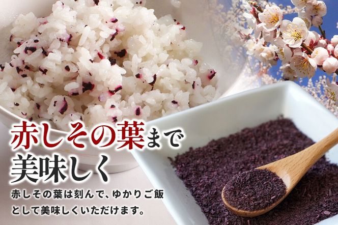  梅漬け（赤しそ入り） 200×4個 自家製 秋田県 北秋田阿仁産 [自家製 手作り 梅干し 梅漬け 漬け物]|jang-010401