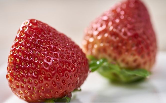 いちご あまおう 2パック 1Pあたり約250g以上 福岡のいちご 苺 本来の酸味と甘み 冬 配送不可 離島 果物類 イチゴ 