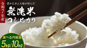 ＼ 選べる内容量 ／【 無洗米 】令和7年産 コシヒカリ 5kg/10kg 茨城県つくばみらい市産 時短 手軽 粘り 甘み 茨城 こしひかり 令和7年