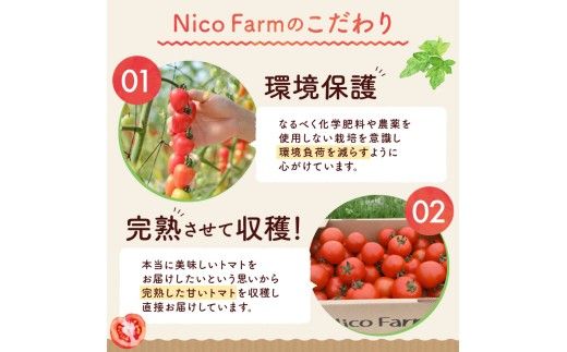 NicoFarm トマトジュース 180ml 5本セット_Y124-0039 