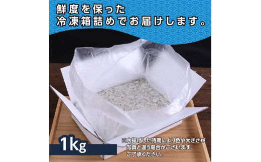 【CF-R7hbk】MMK003　上物釜揚げシラス1kg 高知県産 釜揚げしらす 簡易梱包 シラス 国産 釜揚げ 新鮮 しらす丼 海鮮丼 お茶漬け 冷凍配送 塩分控えめ お取り寄せ