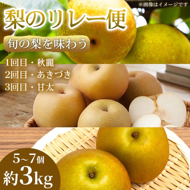 【旬の梨を味わう】熊本県産 リレー便 (各5～7個)(約3kg)(1回目)秋麗(2回目)あきづき(3回目)甘太 梨 フルーツ 詰め合わせ 食べ比べ 甘い 濃厚 農家直送 ギフト 贈答用 家庭用 お取り寄せ 熊本県