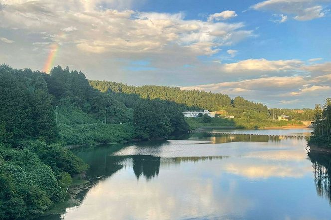 こだわりの自家焙煎珈琲 生石庵ブレンド 100g×4袋【豆】 スペシャルティコーヒー|06_osa-072501