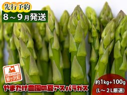 アスパラガス 先行予約 夏アスパラガス 約1kg+100g L～2L 厳選 やまたけ農園 アスパラ グリーンアスパラ 野菜 夏野菜 夏 旬 旬の野菜 産地直送 2026年 2026 先行 予約 青森 冷蔵 冷蔵配送 7月～9月発送