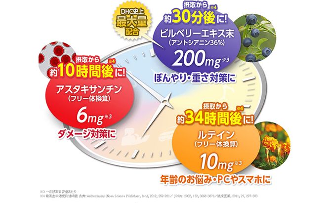 DHC速攻ブルーベリー V-MAX30日分12個セット サプリメント 健康食品 加工食品 ビルベリー ルテイン アスタキサンチン アントシアニン ビルベリーエキス末 
